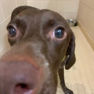 Meet your Posher, Arielle